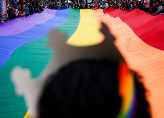 Parada do Orgulho LGBT+ de SP 2026 abordará importância do voto
