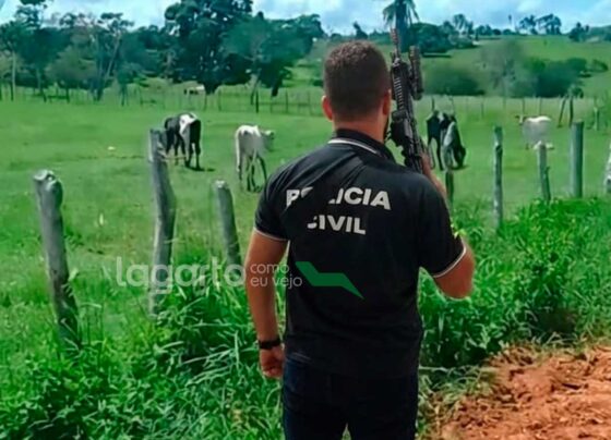 Polícia Civil recupera três bezerros furtados de propriedade rural em Lagarto