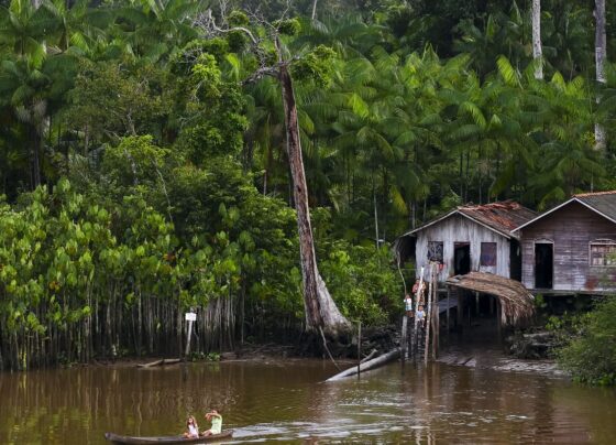 Projeto leva tratamento gratuito a doenças negligenciadas no Amazonas
