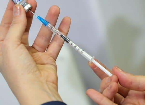 Vacina da gripe não aumenta risco da doença, alerta ministério