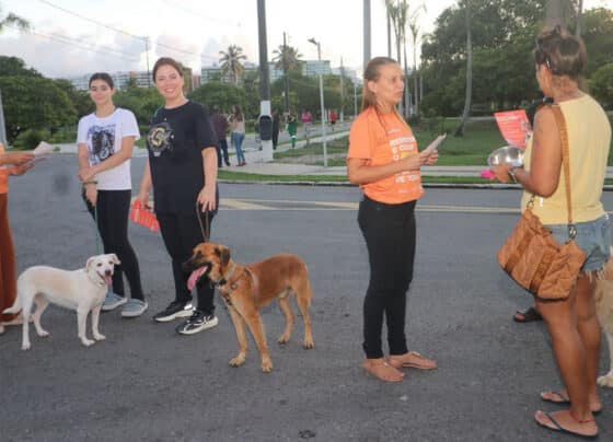Secretaria de Estado da Saúde reforça conscientização contra a crueldade animal