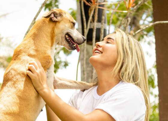 ´Abril Laranja´: Lei reforça importância da prevenção à crueldade contra animais