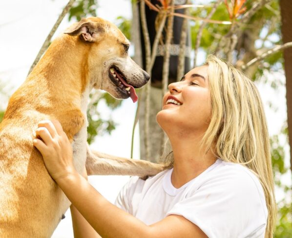 ´Abril Laranja´: Lei reforça importância da prevenção à crueldade contra animais