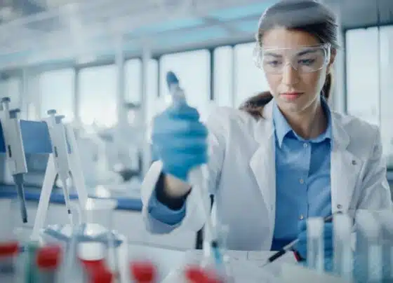 Aplicação de melatonina aumenta eficácia de transplante de tecido ovariano
