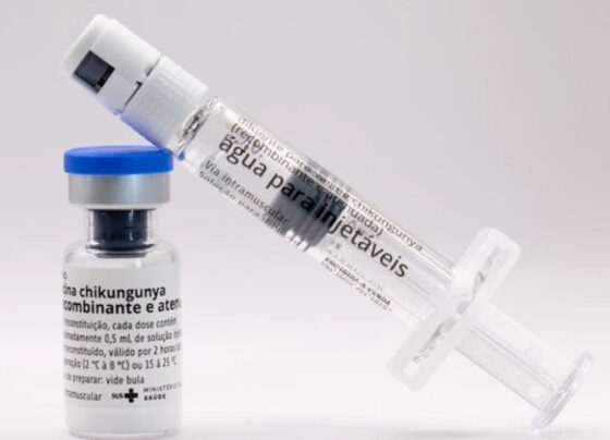 Butantan vai produzir vacina nacional contra chikungunya