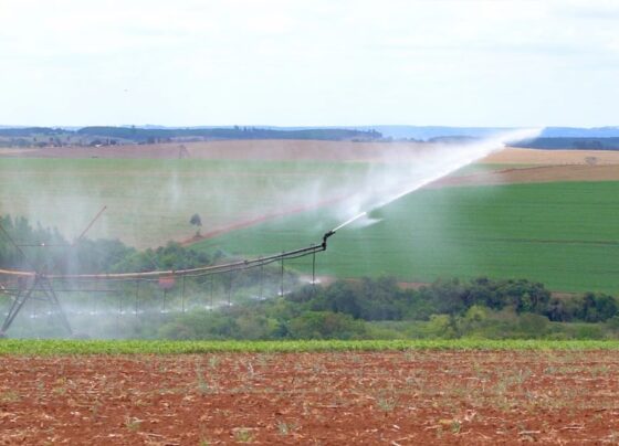 Com ajuda do SP Produz, cidade do interior se torna polo de irrigação do estado 