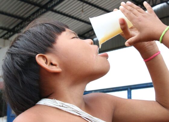 Consumo de alimentos ultraprocessados cresce entre povos tradicionais