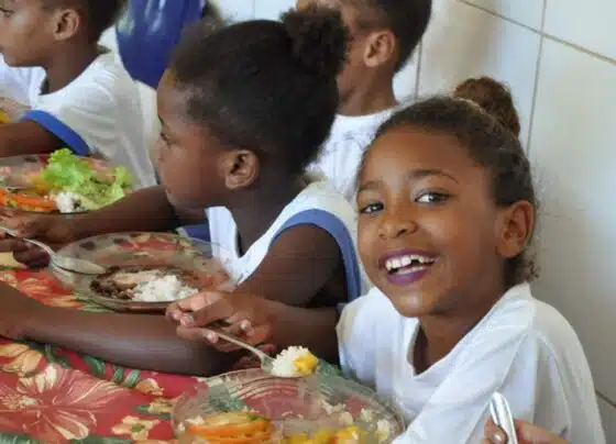 Contrata+Brasil facilita compra de R$ 35,3 milhões da agricultura familiar para merenda escolar