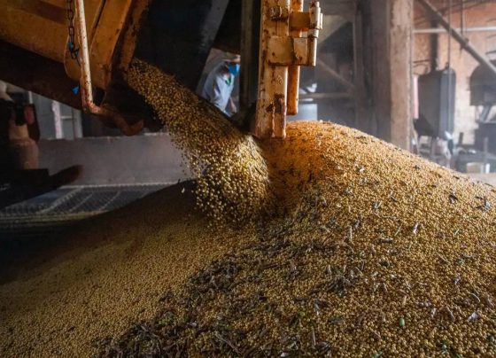 Economia brasileira cresce 1,1% no 1º trimestre