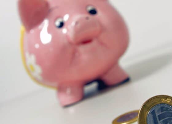 Entenda como funciona investir no Tesouro Reserva