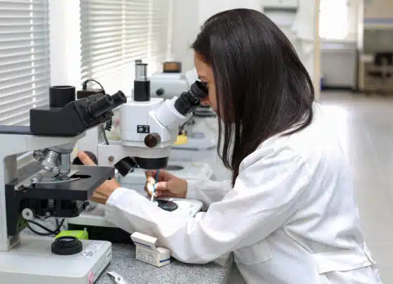 Estudo identifica rede de autoanticorpos em doenças neurodegenerativas