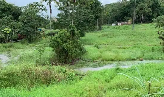 Guia de turismo e adolescente morrem após cabeça d’água em trilha em SE