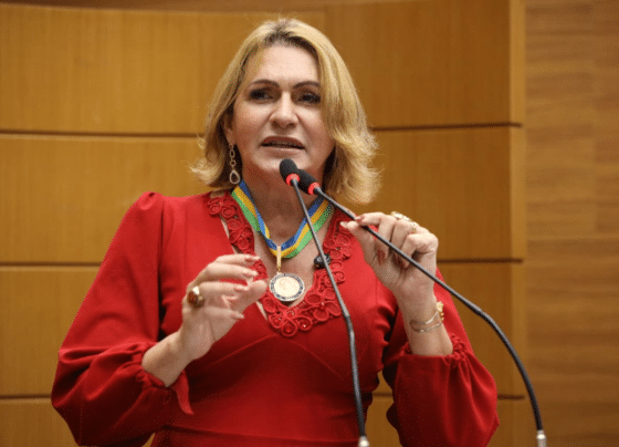 Linda Brasil defende valorização de profissionais da saúde e direitos das mulheres