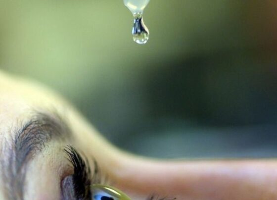 Oftalmologistas lançam campanha 24 Horas pelo Glaucoma