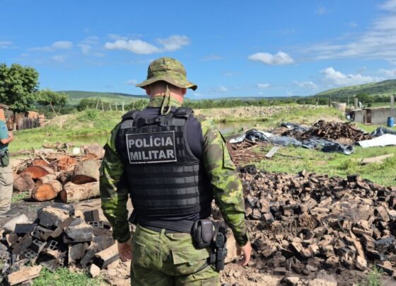 Operação realizada pelo Ibama e a Companhia Independente de Polícia Ambiental reforça combate ao desmatamento da Caatinga – P.M.S.E.