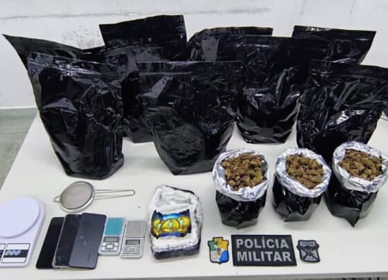 PMSE desarticula ponto de armazenamento de drogas e prende casal na Coroa do Meio – P.M.S.E.