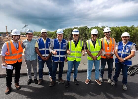 Viaduto do Complexo Viário Maria do Carmo Alves será entregue no dia 27 de maio