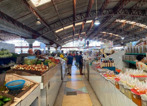 Comerciantes elogiam os serviços essenciais de limpeza no Mercado Maria