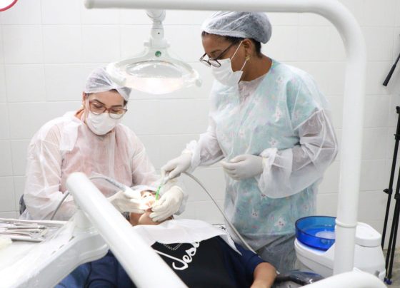 Centros odontológicos estaduais ultrapassam 10 mil atendimentos no primeiro semestre de 2026