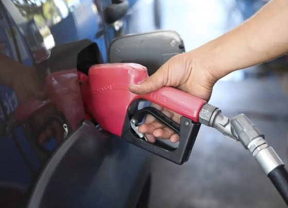 ANP cria app para motorista conferir qualidade de posto de combustível