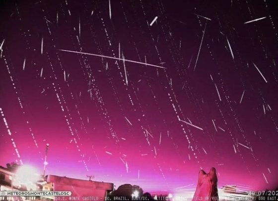 Ápice de chuva de meteoros ocorre nesta quinta-feira; veja como observar