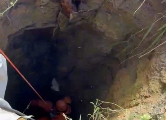 BOMBEIROS RESGATAM CACHORRO PRESO EM CISTERNA COM MAIS DE 10 METROS DE PROFUNDIDADE EM ITAPORANGA