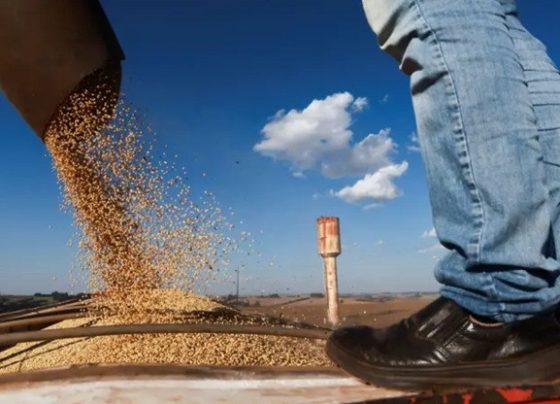Brasil pode se tornar o maior exportador agrícola do mundo, diz Financial Times
