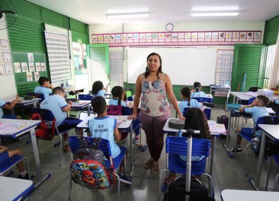 Carteira Nacional Docente do Brasil: saiba como emitir documento