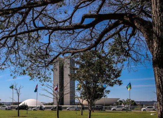 Congresso aumenta punição a crimes sexuais online contra crianças