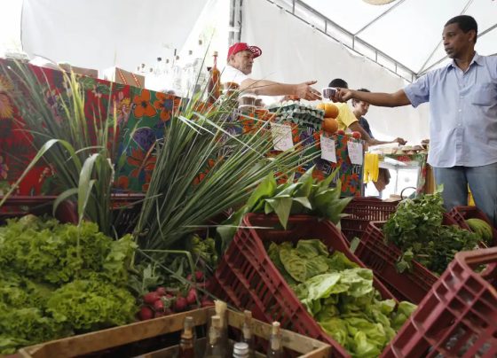 Decreto adia exigência de CNPJ para autônomos e produtores rurais