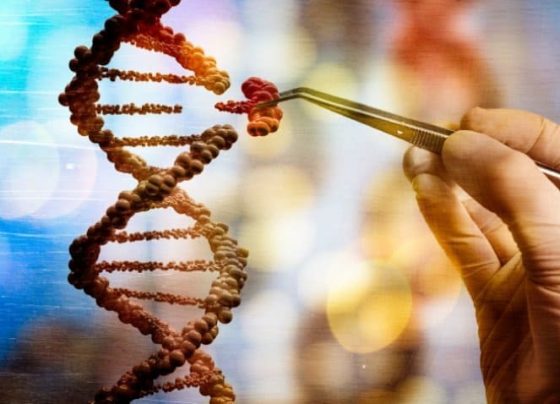 Engenharia genética: entenda conceito e como ela é empregada na biotecnologia