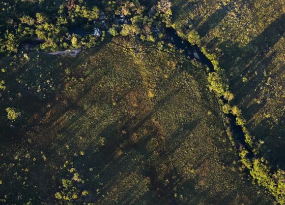 Financiamentos de projetos rurais sustentáveis terão juros mais baixos
