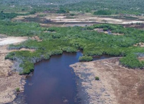 Justiça cobra execução de medidas ambientais no Parque Marituba