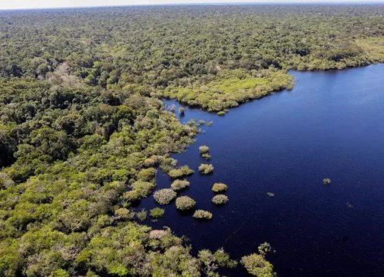 Mapeamento revela dinâmica da superfície de água no Brasil e reforça urgência da restauração de ecossistemas