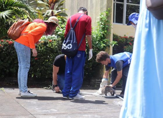 PMA planeja ação de controle populacional de felinos no Cemitério São João Batista