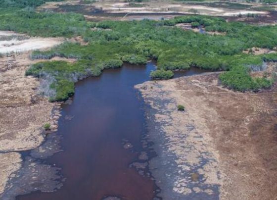 Poder Judiciário acolhe pedido do MPSE e determina cumprimento integral do Plano de Manejo do Parque Estadual Marituba