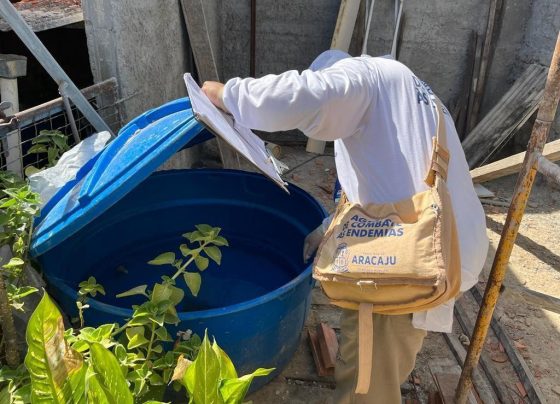 Quarto LIRAa de 2026 aponta redução no índice de infestação do Aedes aegypti em Aracaju