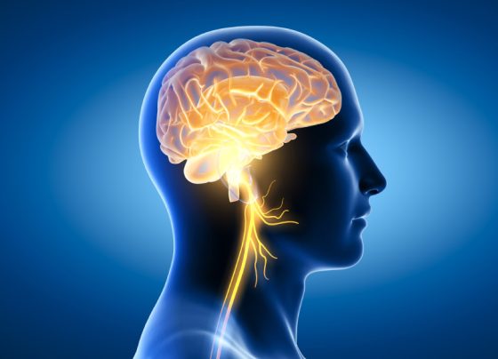 SUS incorpora novo tratamento para pacientes com esclerose lateral amiotrófica em estágio inicial