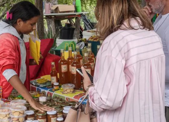 Saiba como mulheres transformam a mangaba em símbolo de preservação econômica e cultural em Aracaju