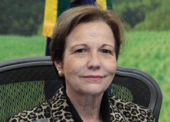 Senadora Tereza Cristina descarta ser vice de Flávio Bolsonaro em eleição presidencial