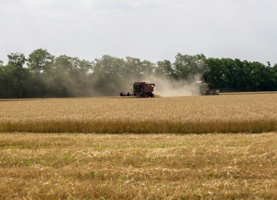 Agricultura empresarial contrata R$ 28,2 bi em crédito rural no primeiro mês da safra 2026/2027
