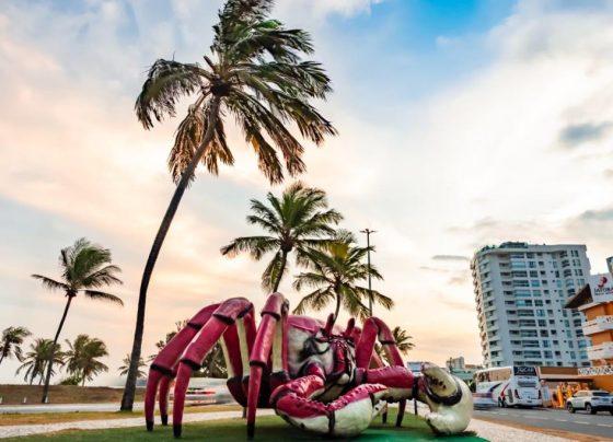 Aracaju se destaca nacionalmente na geração de empregos e lidera 20 atividades econômicas em Sergipe