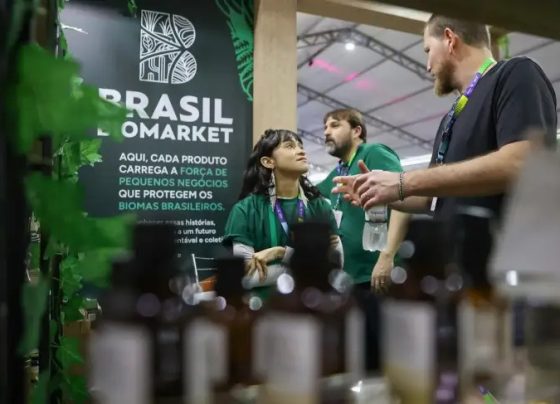 Brasil BioMarket transforma biodiversidade em oportunidades para 30 pequenos negócios no Startup Summit