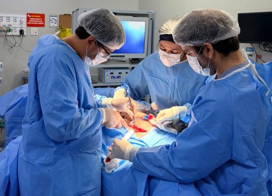 Câncer de pâncreas: diagnóstico precoce e avanços da medicina mudam perspectivas da doença