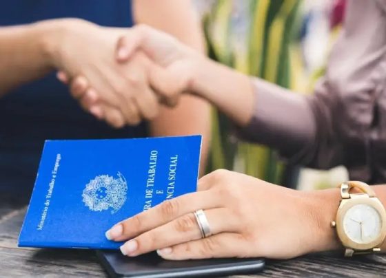 Carteira assinada: uma conquista de 4,8 milhões de pessoas e das micro e pequenas empresas