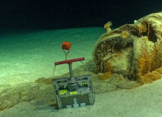 Cientistas encontram 200 mil barris de lixo radioativo no oceano