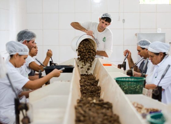 Consulta sobre bens sustentáveis no acordo Mercosul–UE acaba na quarta
