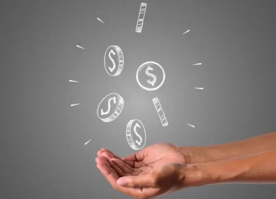 Crédito assistido: orientação ao empreendedor reduz inadimplência no cooperativismo