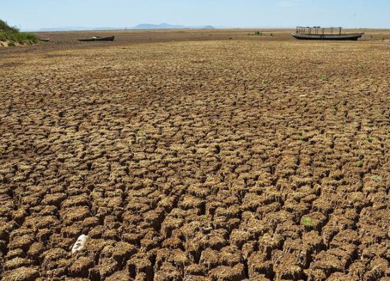 Desertificação no Brasil afeta aproximadamente 39 milhões de pessoas