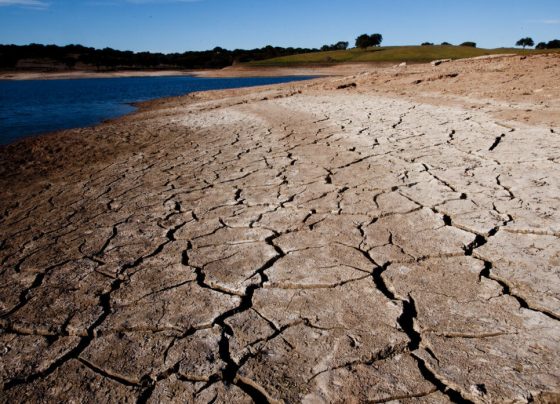 El Niño: boletim aponta redução de chuvas e maior risco de seca em territórios de Sergipe